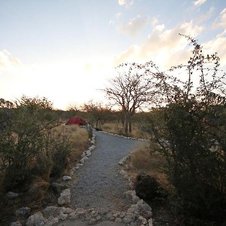 Etosha Village Campsite โอเคาเควโย ภายนอก รูปภาพ