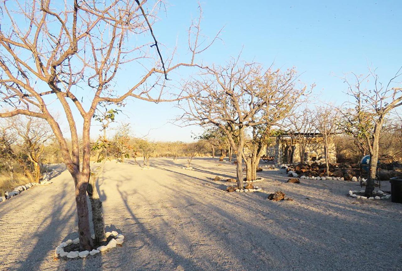 Etosha Village Campsite โอเคาเควโย ภายนอก รูปภาพ