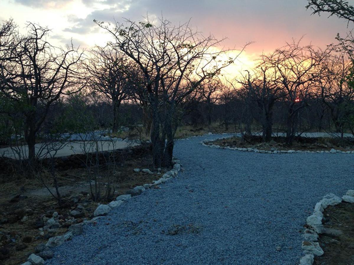 Etosha Village Campsite โอเคาเควโย ภายนอก รูปภาพ