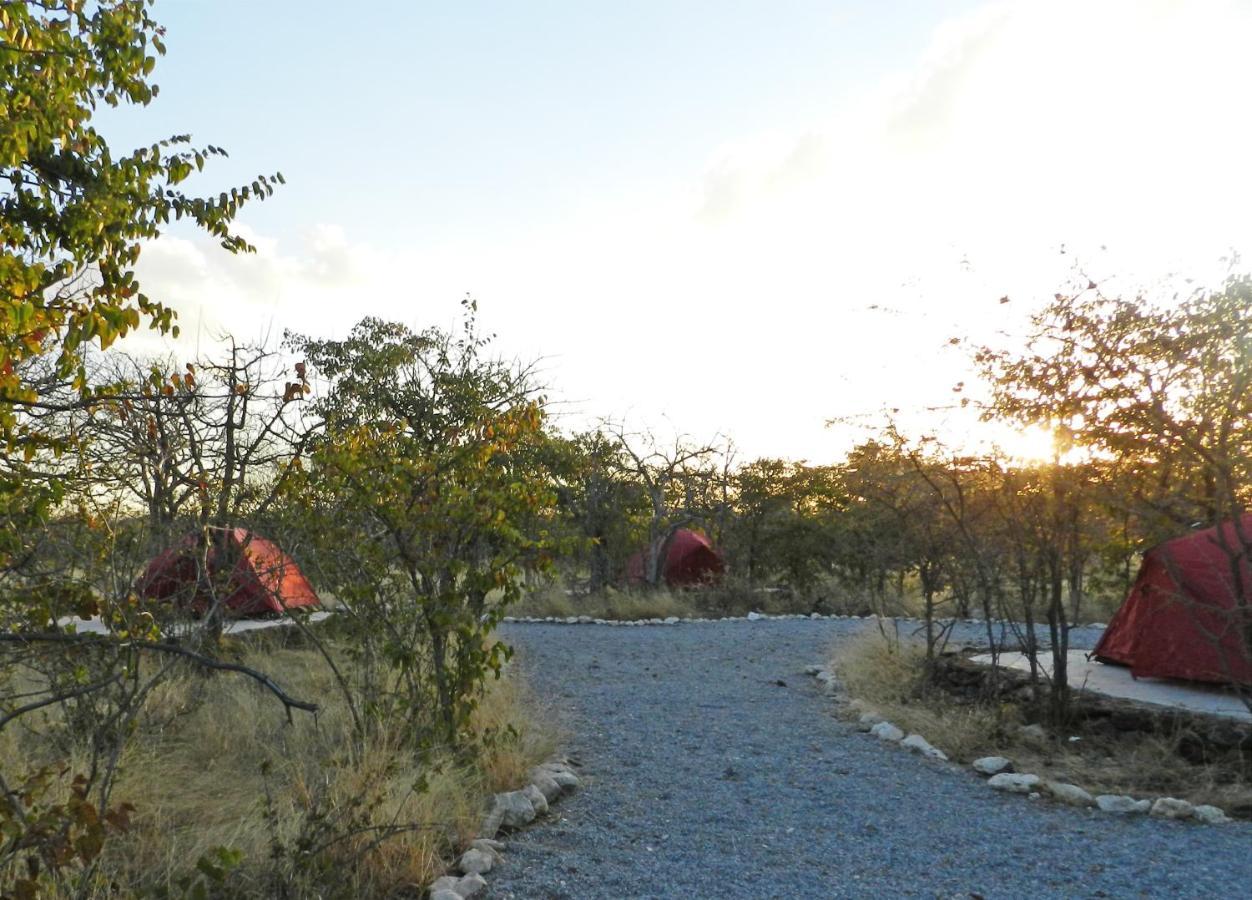 Etosha Village Campsite โอเคาเควโย ภายนอก รูปภาพ