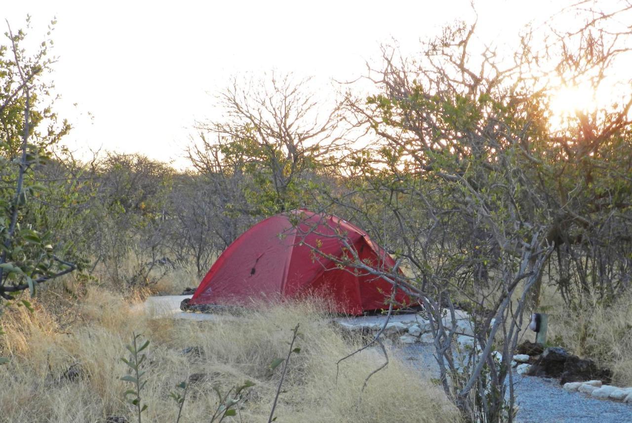 Etosha Village Campsite โอเคาเควโย ภายนอก รูปภาพ