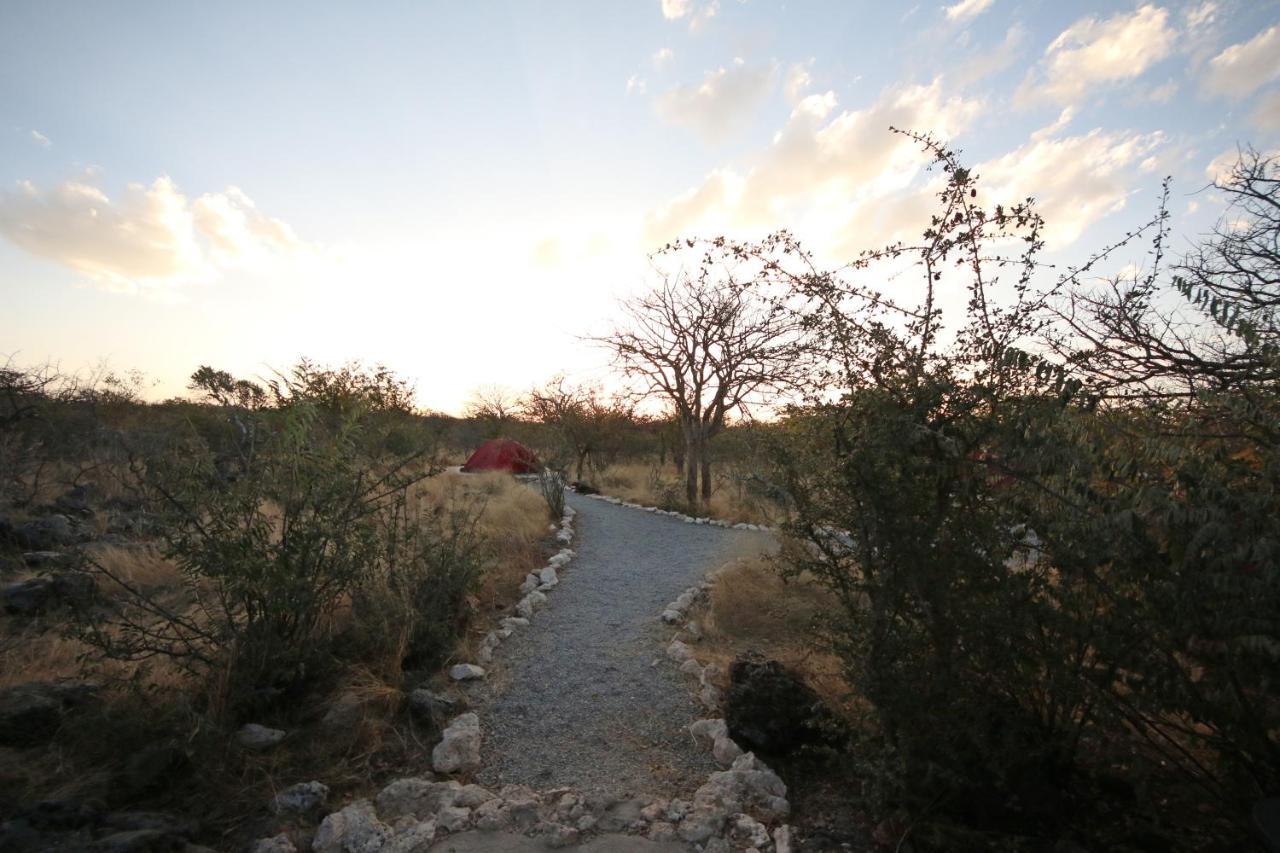 Etosha Village Campsite โอเคาเควโย ภายนอก รูปภาพ
